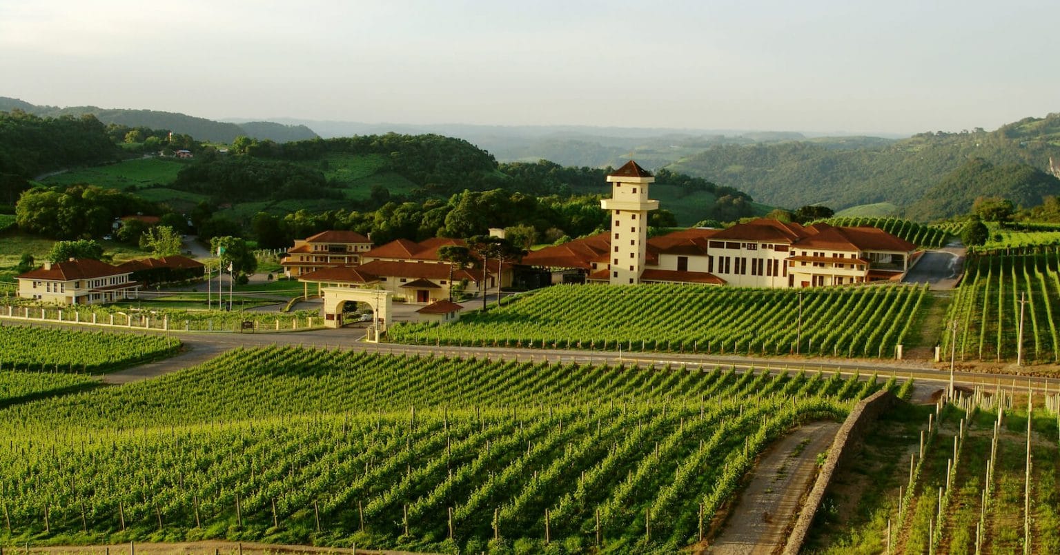 vale dos vinhedos