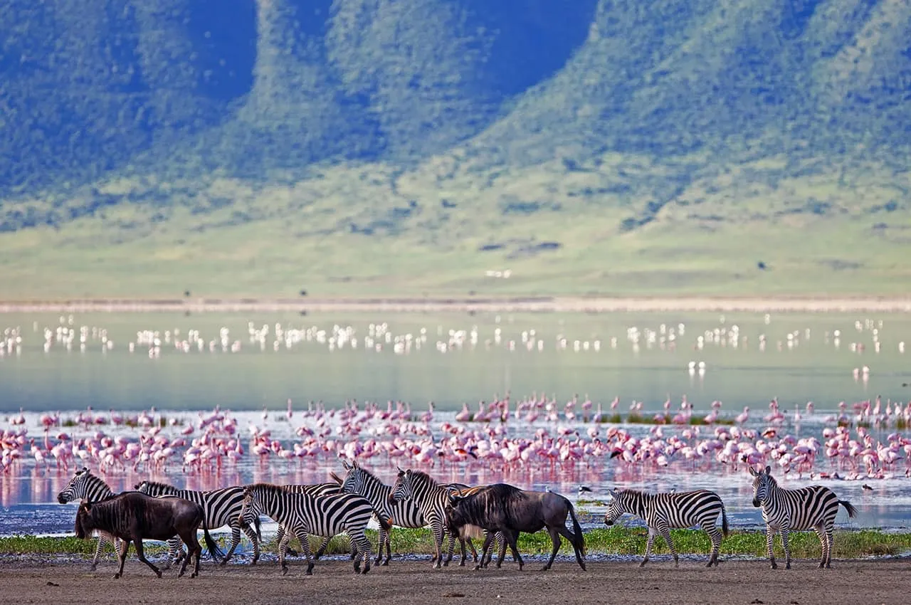 Cratera Ngorongoro,Tanzânia