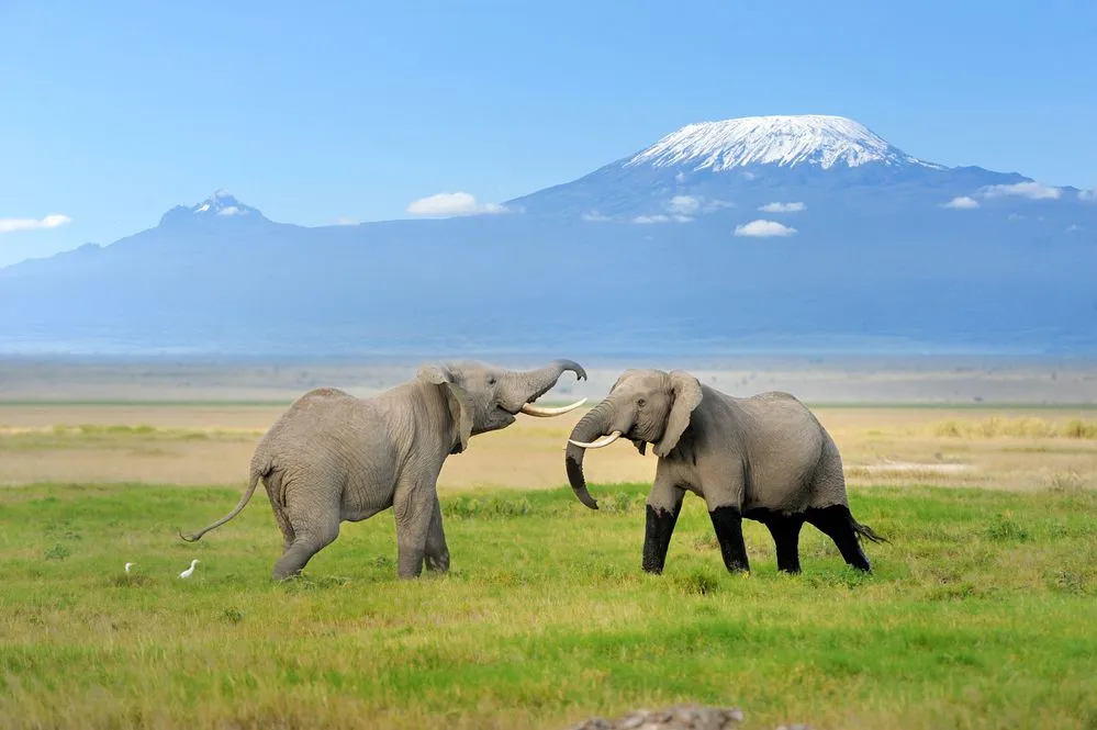Monte Kilimanjaro,Tanzania